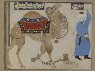 縛られたラクダと番人、サファヴィー朝